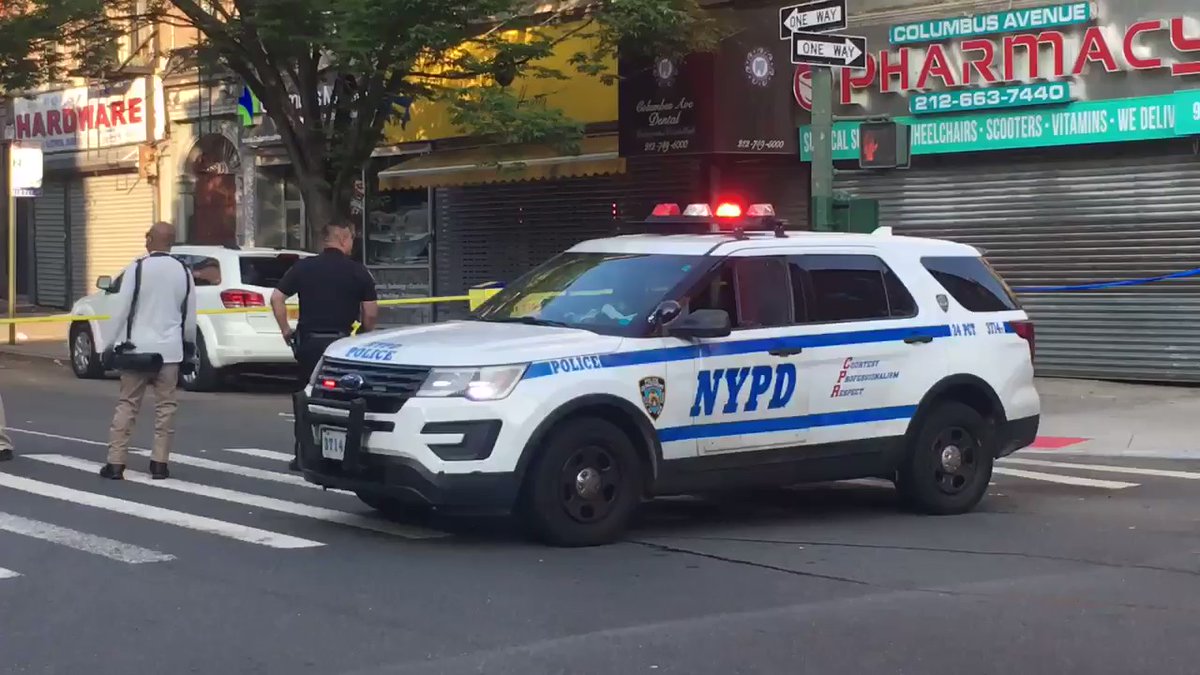 driver transported nypd police警车