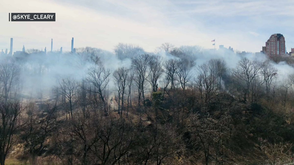 6+ small rubbish fires set in Central Park. LE sources tell @MarcSantia4NY police are looking for a man seen setting one of the fires near W 107th/Central Park West