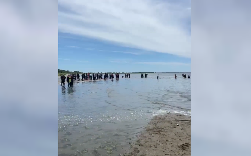 13-year-old boy dead, 2nd teen critical after pulled from Jamaica Bay