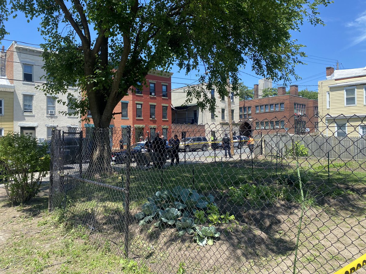 Big police scene on Franklin Street in Albany. No word yet on what happened, but there's a lot of commotion going on. Neighbors tell they heard at least one gunshot and within minutes police arrived