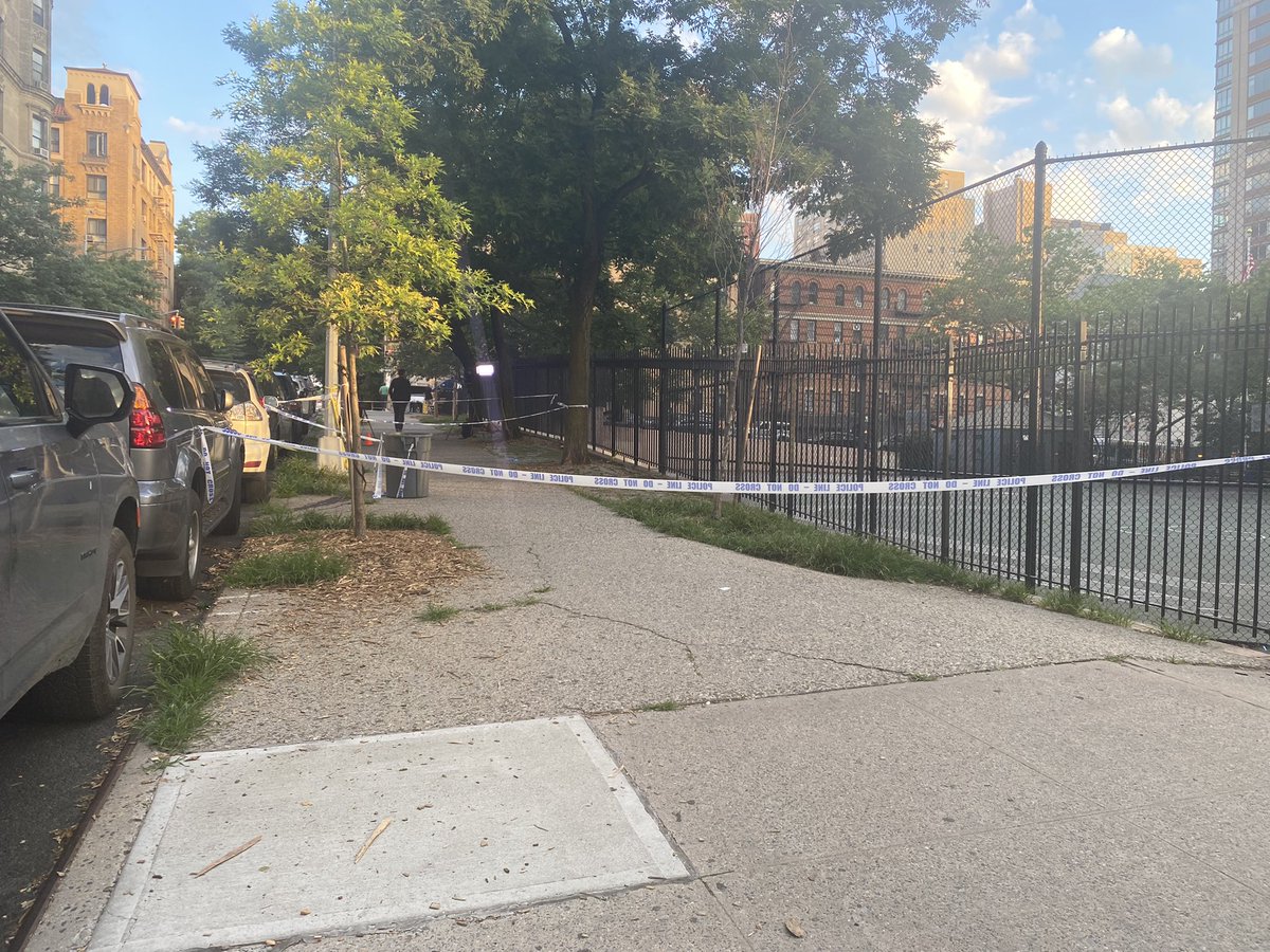 Blood still stains the sidewalk on E95th Street  between Lex and 3rd Ave, where a 20 YO woman walking a 3 month old in a stroller was shot at close range and killed last night. The baby was not injured in the shooting. Investigation continues, no arrests yet