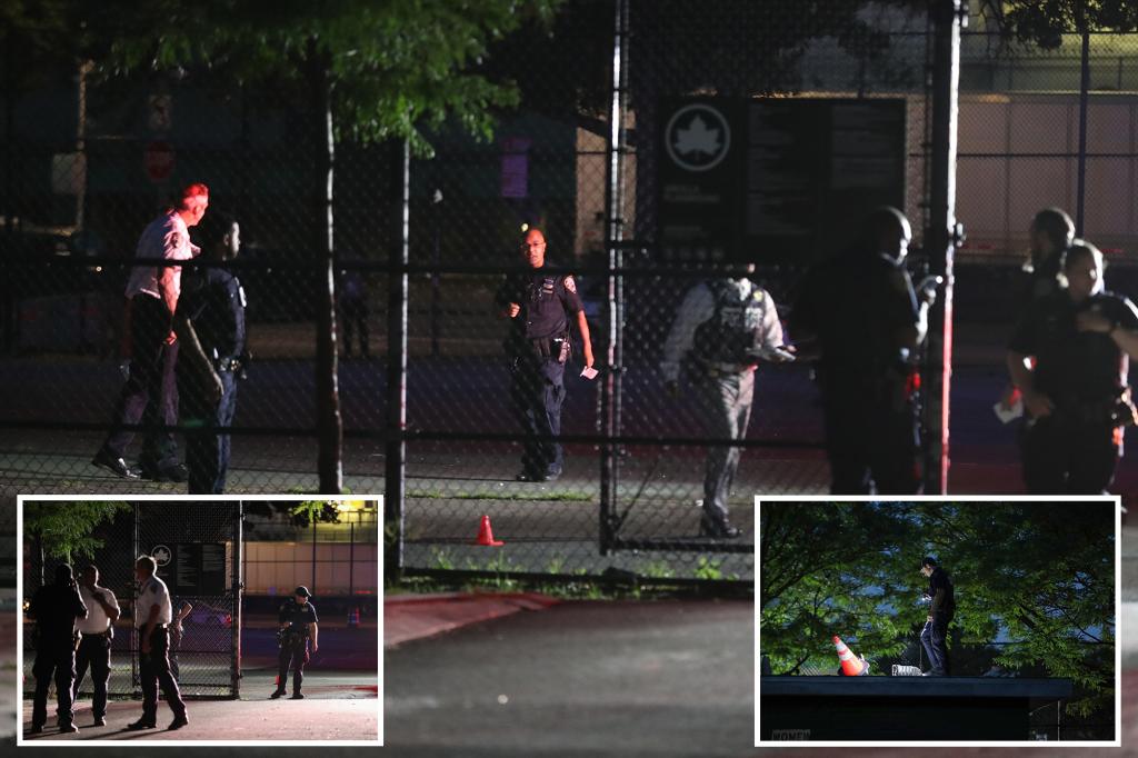 2 teen girls hit by stray gunfire in Bronx playground were visiting from Virginia