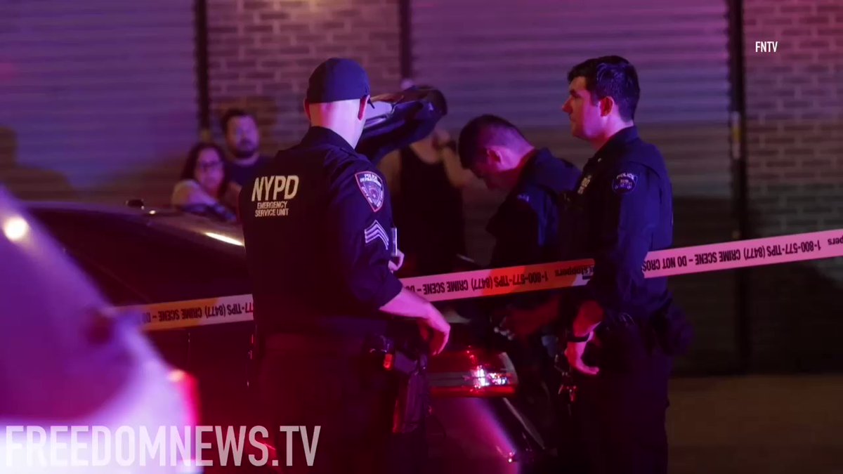 Two females were shot in the Bronx, one reported to be a 13-year-old girl. Both are expected to survive, policemen said. NYPD responded to 1374 Bristow st and EMS was requested. No arrests at this time and the investigation is ongoing