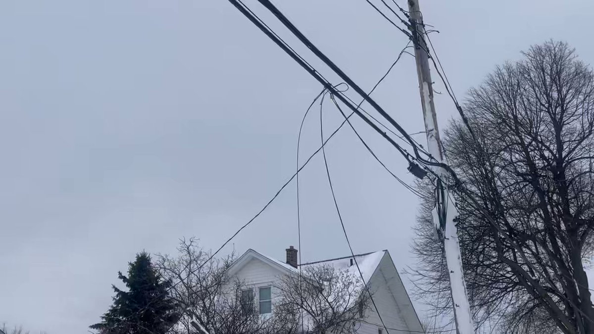 This tree on Whitfield Ave in south Buffalo fell during the blizzard and brought down power lines. A few homes on the street have been without power since Christmas morning.    