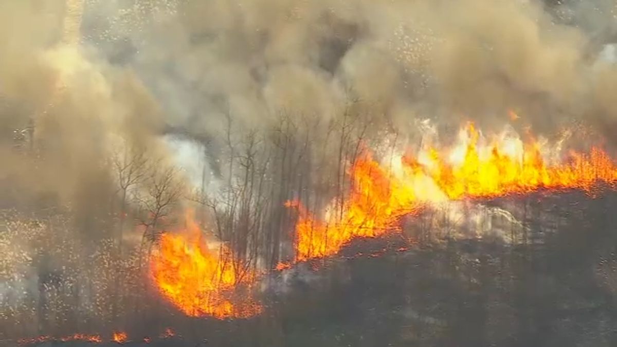 Firefighters battle massive brush fire in Brooklyn