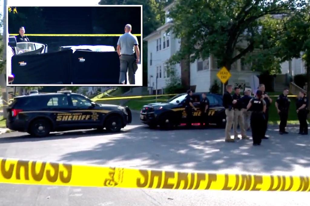 Two teens fatally shot by suburban Syracuse deputy while trying to run him down in stolen car: Sheriff