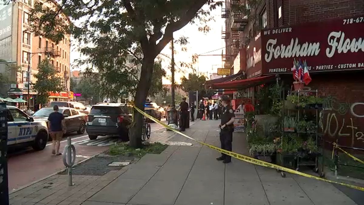 Man, woman shot while walking in the Bronx  Trending Content&am 