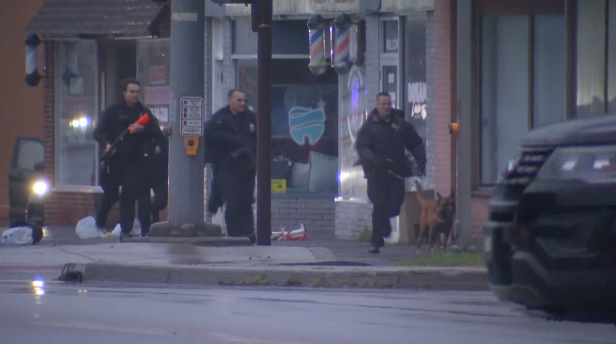 Greece Police chase down this person and put them in handcuffs around Dewey Avenue.