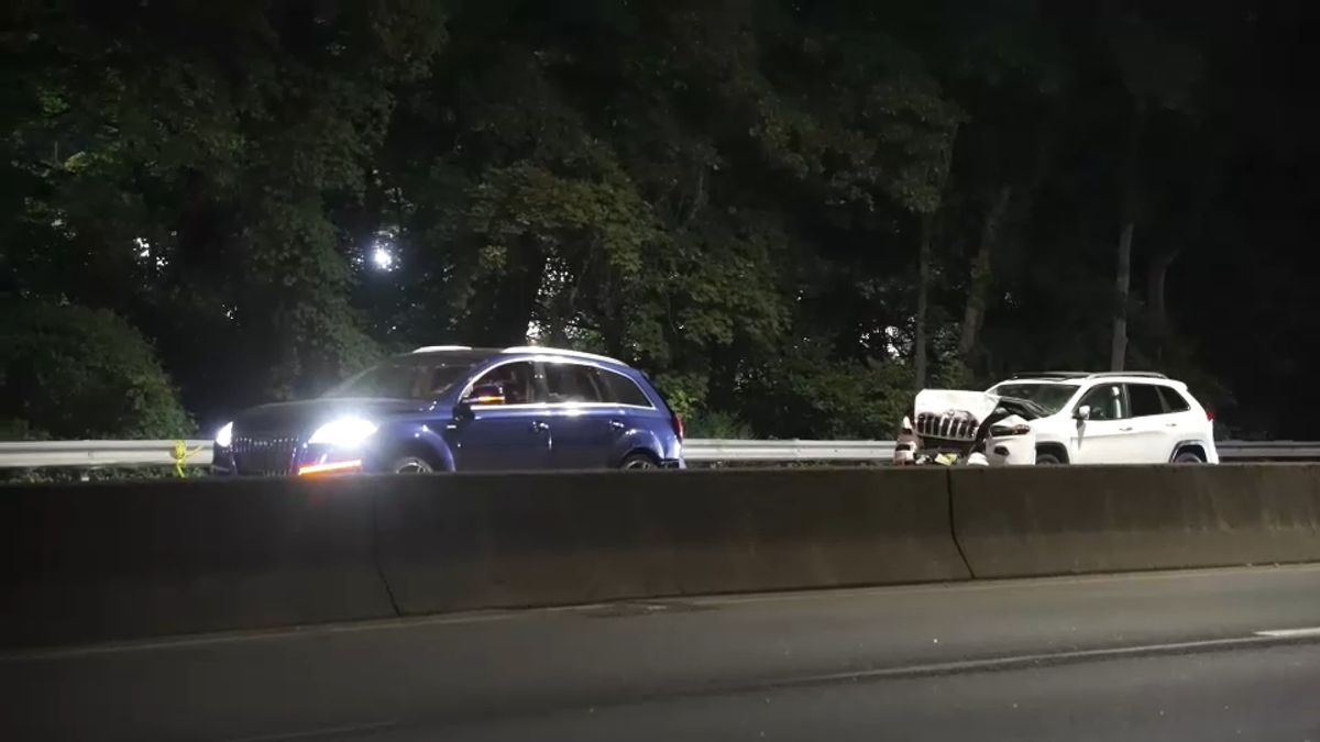 2 killed in 7-vehicle crash on southbound Bronx River Parkway; one driver in custody