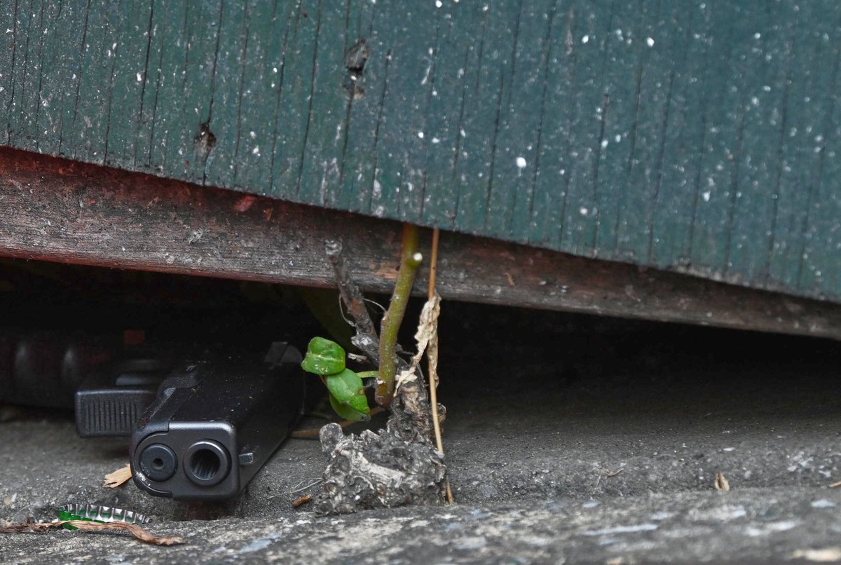 The NYPD continues to investigate a mass shooting where eight men and three women were shot at a nightclub at 903 Franklin Ave in Crown Heights. A total of three men were killed