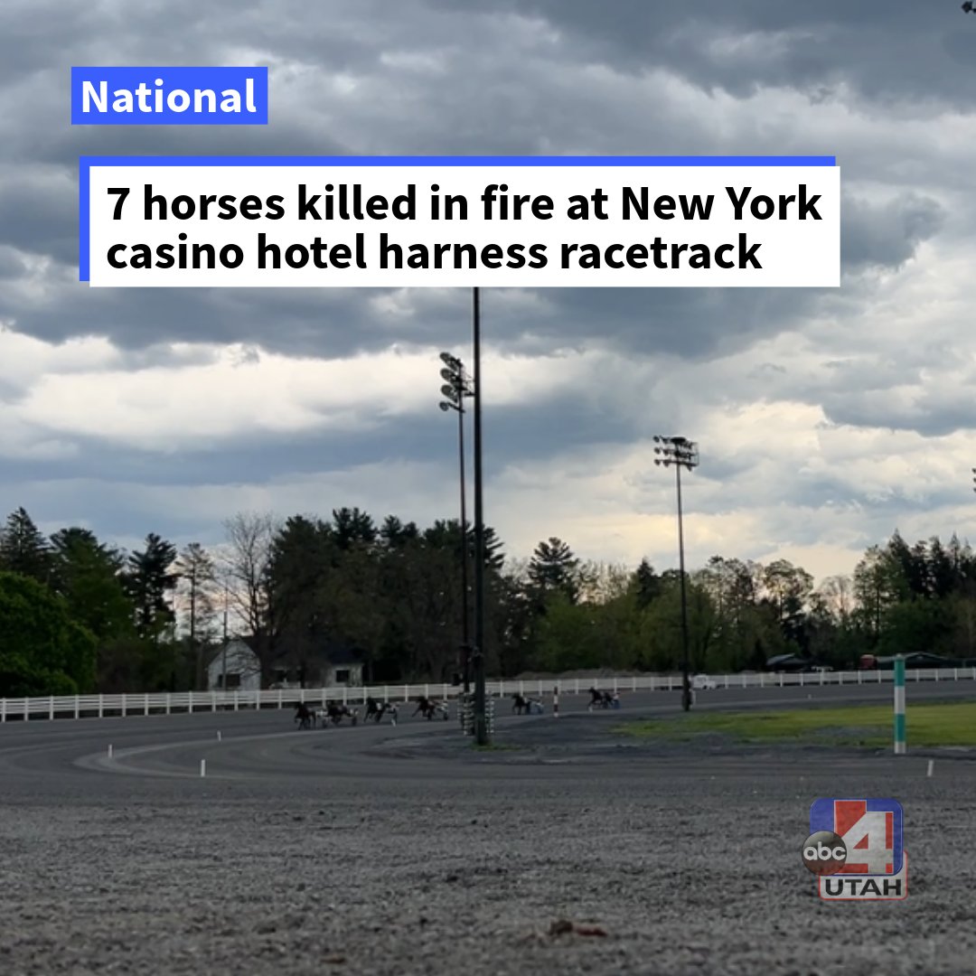 Seven horses are dead following an early morning fire at the Saratoga Casino Hotel Harness Track on Tuesday, according to the Saratoga Casino Hotel. An investigation is reportedly underway