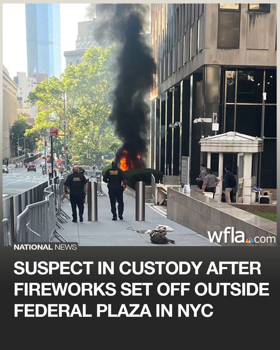 Three people were injured when a suspect allegedly set off fireworks near a federal immigration building in Manhattan, authorities said