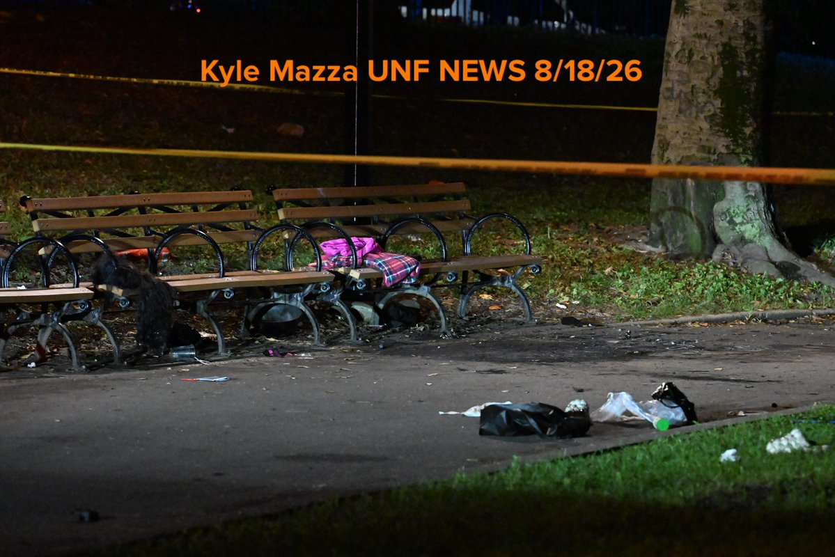 NYPD officers work the scene where a 30-year-old woman was stabbed multiple times to the body inside of Lincoln Terrace/Arthur S. Somers Park within the confines of the 77 precinct in Brooklyn 
