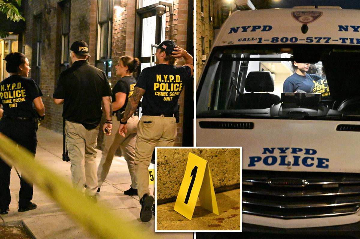 NYC school worker killed, friend stabbed during unhinged attack by maniac with 13 prior busts