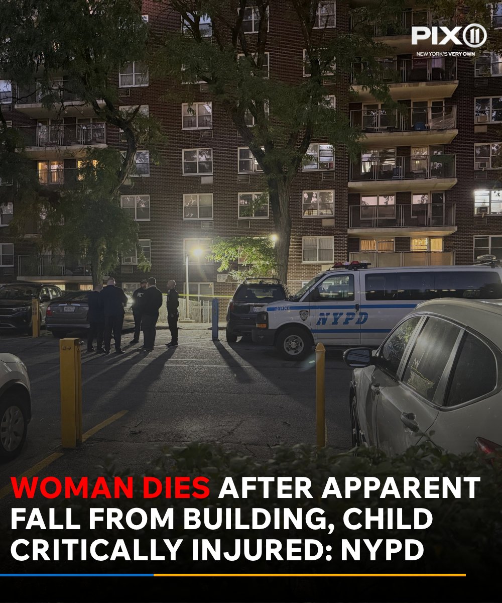 An active scene unfolded in the Bronx early Tuesday morning after police said a 23-year-old woman died after falling from an elevated position.